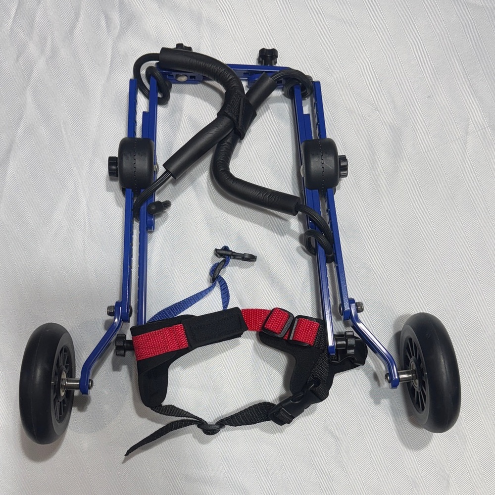 Adjustable Blue Dog Wheelchair with Red Support Harness